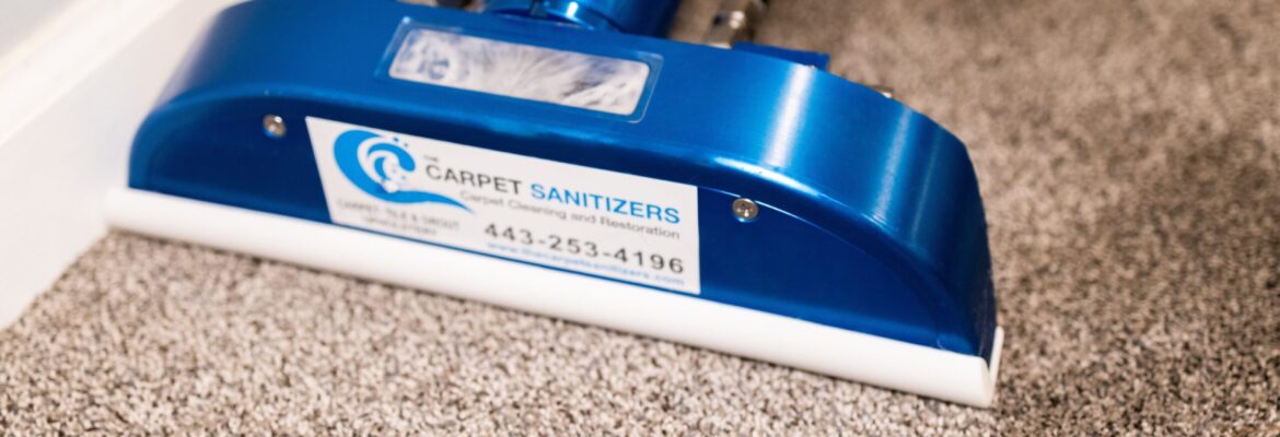 The Carpet Sanitizers